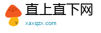 直上直下网